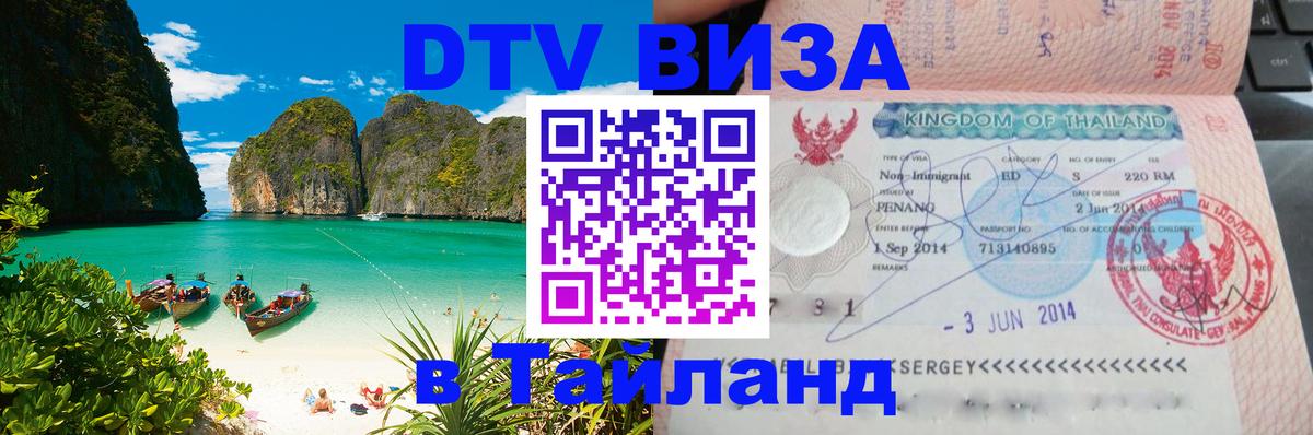 Оформление DTV визы под ключ: стоимость и тарифы, только загранпаспорт - 