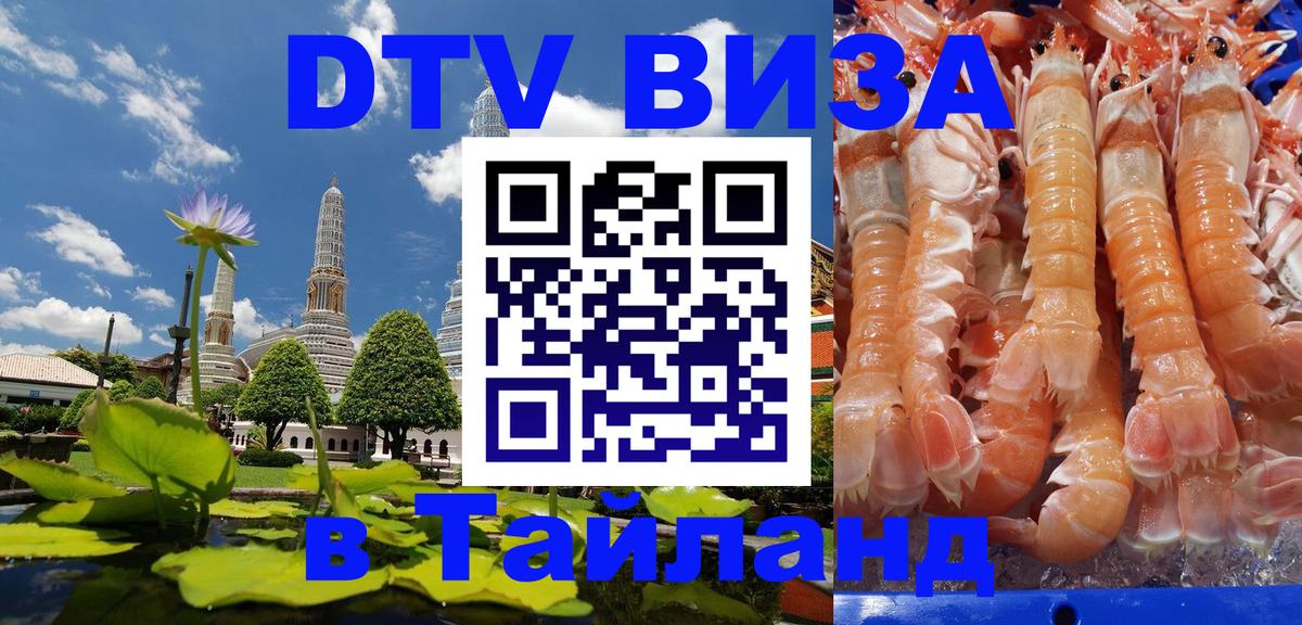 DTV (ДТВ) visa Таиланд Армавир 
